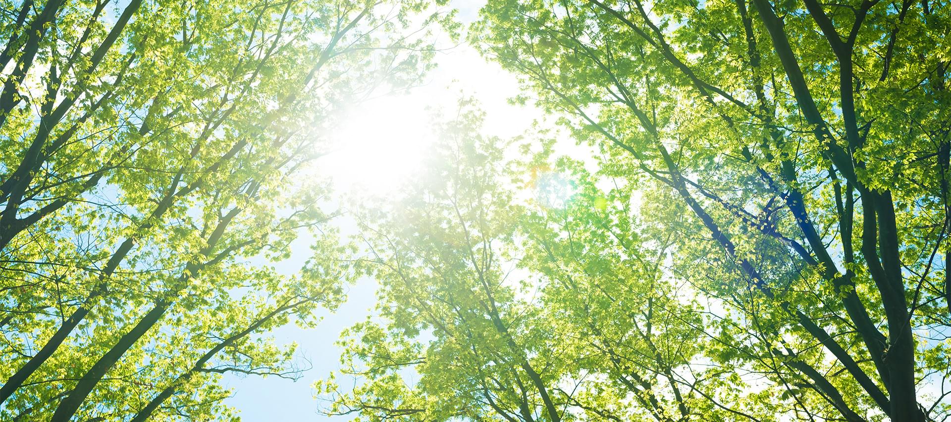 木のまち歯科矯正歯科医院