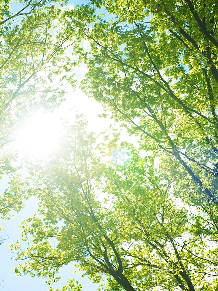 木のまち歯科矯正歯科医院